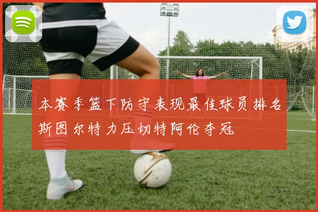 本赛季篮下防守表现最佳球员排名斯图尔特力压切特阿伦夺冠