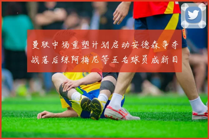 曼联中场重塑计划启动安德森争夺战落后琼阿梅尼等五名球员成新目标